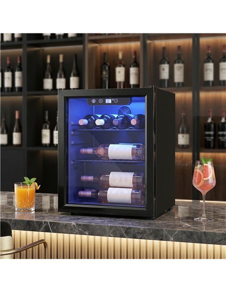 HOMCOM 16 Bottle Wine Cooler, 48 Litre Capacity, 4-16°C Tabletop Counter Drinks Wine Fridge with Glass Door, LED Light, Black - pic 193110 | FastDaddyshop