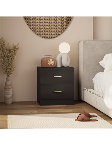 HOMCOM Modern Bedside Table, Beside Cabinet with 2 Drawers, for Bedroom, Living Room, Black - pic 193294 | FastDaddyshop