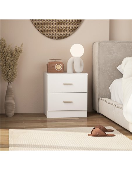 HOMCOM Set of 2 Modern Nightstands, Bedside Tables with 2 Storage Drawers, Accent End Table for Bedroom and Living Room, White - pic 193611 | FastDaddyshop