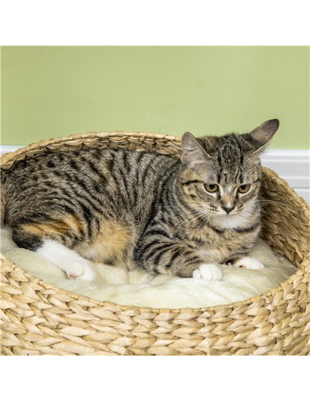 PawHut 72cm Cat Tree Kitten Tower, with Sisal Scratching Post, Two Beds, Toy Ball - pic 194205 | FastDaddyshop