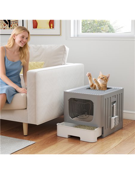 PawHut Cat Litter Box with Lid, Slide-Out Drawer, Scoop, Easy Clean, Odour Control, Anti-Splashing, Grey - pic 194683 | FastDaddyshop