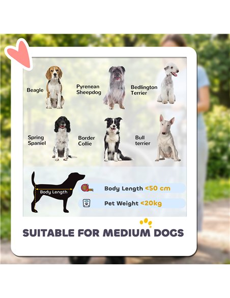 PawHut Dog Stroller, Easy Folding Pet Stroller for Small and Medium Dogs with Shock Absorption, Maximum Load 20 kg, Grey - pic 195091 | FastDaddyshop