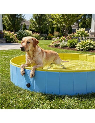 PawHut Foldable Dog Pool for Puppies and Ducks Dog Paddling Pool Bath Tub, Blue, 160 x 30cm