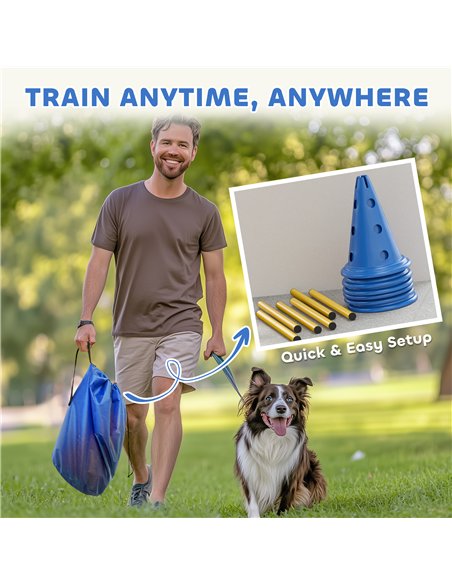 PawHut Dog Agility Equipment Set of Six Cones, Six Poles with Carry Bag, Three-Piece Adjustable Height Jumping Obstacles, Blue - pic 195534 | FastDaddyshop