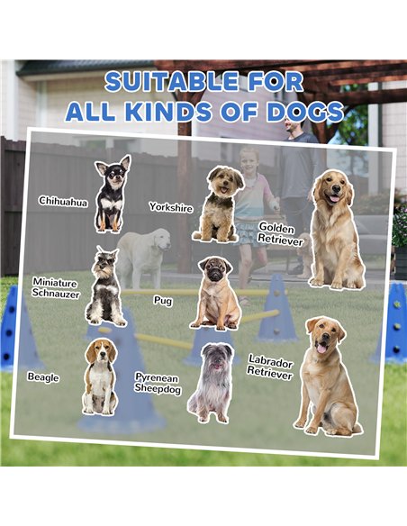 PawHut Dog Agility Equipment Set of Six Cones, Six Poles with Carry Bag, Three-Piece Adjustable Height Jumping Obstacles, Blue - pic 195535 | FastDaddyshop