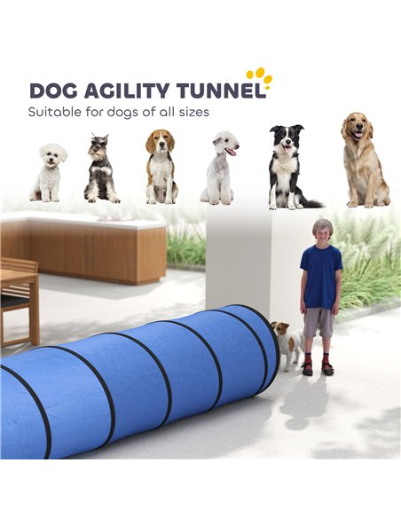 PawHut Dog Tunnel, 500 x 60 cm, Foldable Play Tunnel with 6 Pegs and Bag, Tear-Resistant Outdoor Dog Agility Equipment, Blue - pic 195549 | FastDaddyshop