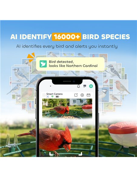 PawHut Smart Bird Feeder Camera 2K HD with AI Identifies 16,000+ Species, 2K HD Auto Capture Video, APP Instant Notifications - pic 195624 | FastDaddyshop