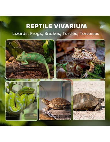 PawHut Reptile Glass Terrarium with Stone Background, Front Ventilation, Escape-Proof Knob Lock, 50 x 30 x 35 cm, Black