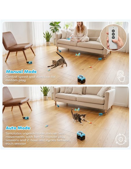 PawHut Interactive Cat Toy for Indoor Kittens & Adult with Adjustable Speed, DIY Track & Mouse Sound - pic 196173 | FastDaddyshop