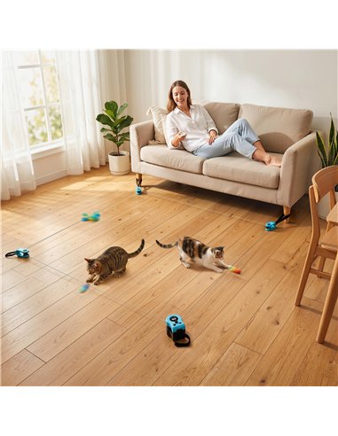 PawHut Interactive Cat Toy for Indoor Kittens & Adult with Adjustable Speed, DIY Track & Mouse Sound
