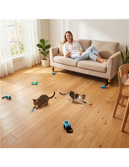 PawHut Interactive Cat Toy for Indoor Kittens & Adult with Adjustable Speed, DIY Track & Mouse Sound - pic 196177 | FastDaddyshop
