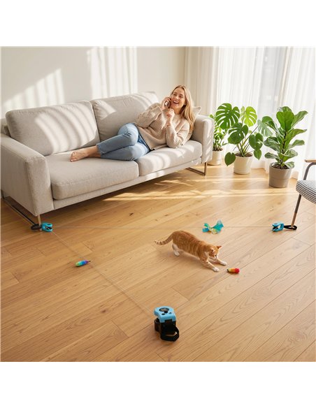 PawHut Interactive Cat Toy for Indoor Kittens & Adult with Adjustable Speed, DIY Track & Mouse Sound - pic 196178 | FastDaddyshop