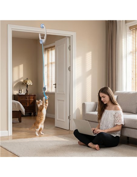 PawHut Interactive Cat Toys for Indoor Kittens & Adult USB Rechargeable Door Hanging Bouncing Mouse Teaser - pic 196180 | FastDaddyshop