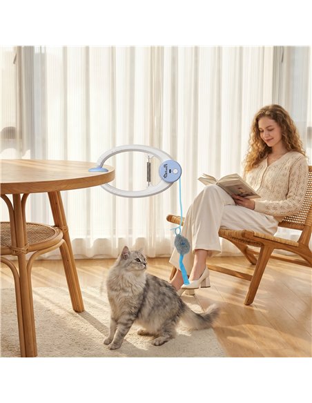PawHut Interactive Cat Toys for Indoor Kittens & Adult USB Rechargeable Door Hanging Bouncing Mouse Teaser - pic 196187 | FastDaddyshop