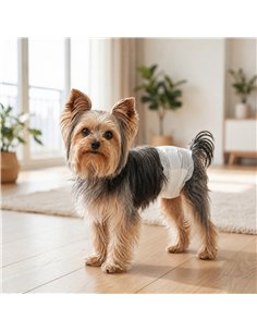 PawHut Dog Diapers Super Absorbent Leak-Proof Dog Nappies for Male Dogs Size S 30-48 cm Waist 2