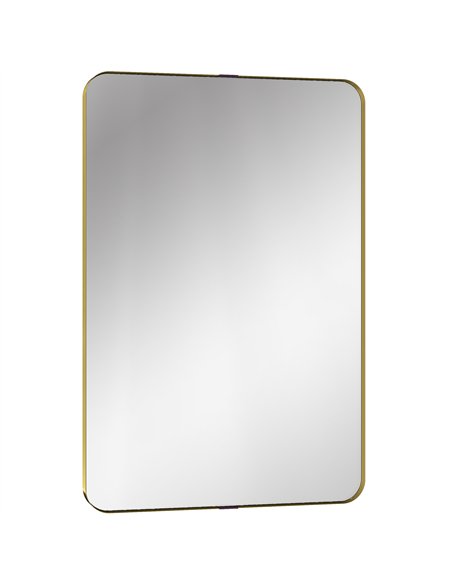 HOMCOM Rectangular Wall Mirror, 90 x 60 cm Wall Mounted Bathroom Mirror w/ Aluminium Alloy Frame and Tempered Glass, Gold Tone - pic 198331 | FastDaddyshop