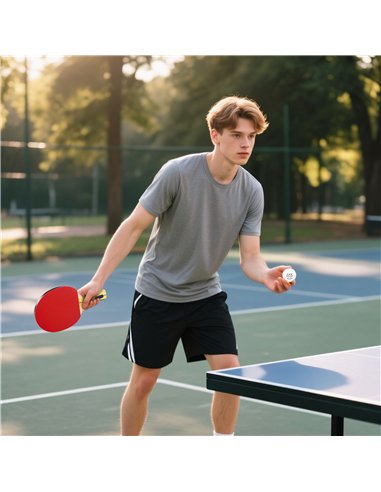 SPORTNOW Portable Table Tennis Set with Four Rackets, Eight Balls, Storage Case