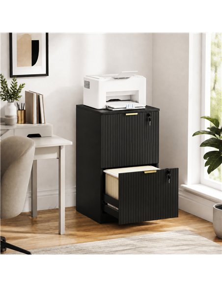 HOMCOM Filing Cabinet, Fluted Vertical File Cabinet with 2 Lockable Drawers and Hanging Rails, Black - pic 211280 | FastDaddyshop