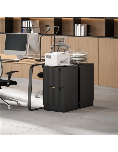 HOMCOM Filing Cabinet, Fluted Vertical File Cabinet with 2 Lockable Drawers and Hanging Rails, Black - pic 211281 | FastDaddyshop