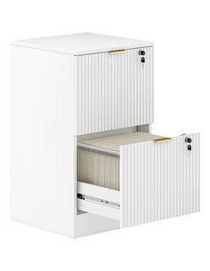 HOMCOM Filing Cabinet, Fluted Vertical File Cabinet with 2 Lockable Drawers and Hanging Rails, White