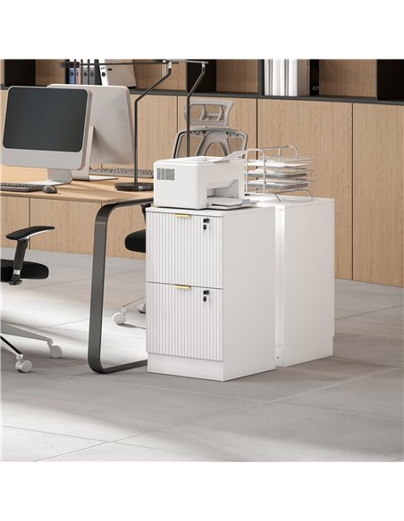 HOMCOM Filing Cabinet, Fluted Vertical File Cabinet with 2 Lockable Drawers and Hanging Rails, White - pic 211299 | FastDaddyshop
