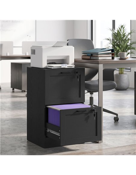 HOMCOM 2-Drawer Filing Cabinet with Lock - Black - pic 211328 | FastDaddyshop