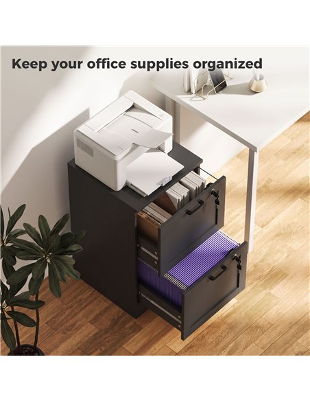 HOMCOM 2-Drawer Filing Cabinet with Lock - Black - pic 211330 | FastDaddyshop