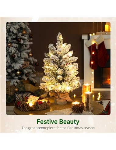 HOMCOM 60 cm Prelit Small Christmas Tree with 35 LED Lights, Snow Flocked Tabletop Mini Xmas Tree with 72 Dense Branches, Pine C