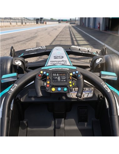 AIYAPLAY Licensed Mercedes-AMG PETRONAS F1 12V Electric Go Kart for Kids with Remote, Rear Suspension, Soft Start and 3 Speeds