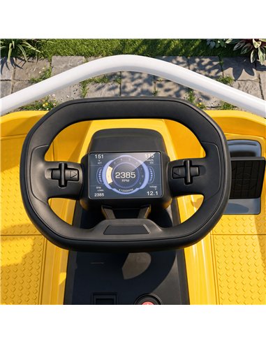 AIYAPLAY 24V Electric Go Kart for Kids with Drift Mode, 300W Brushless Motor, Soft Start and Dual Speed for Ages 6-10, Yellow