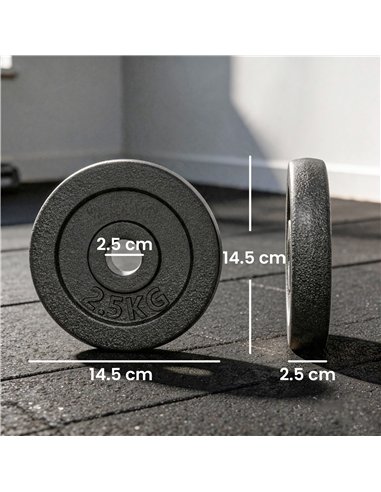 SPORTNOW Weight Plates Set, 1"/2.5cm Weight Disc Pair, 4 x 2.5kg Metal Dumbbell/Barbell Plates for Home Gym