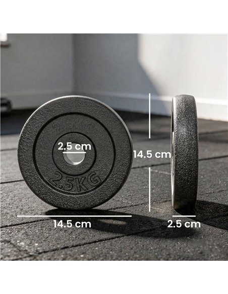 SPORTNOW Weight Plates Set, 1"/2.5cm Weight Disc Pair, 4 x 2.5kg Metal Dumbbell/Barbell Plates for Home Gym - pic 212976 | FastDaddyshop