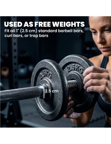 SPORTNOW Weight Plates Set, 1"/2.5cm Weight Disc Pair, 4 x 2.5kg Metal Dumbbell/Barbell Plates for Home Gym