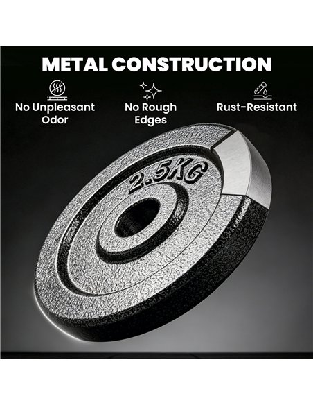 SPORTNOW Weight Plates Set, 1"/2.5cm Weight Disc Pair, 4 x 2.5kg Metal Dumbbell/Barbell Plates for Home Gym - pic 212979 | FastDaddyshop