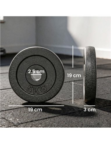 SPORTNOW Weight Plates Set, 1"/2.5cm Weight Disc Pair, 4 x 5kg Metal Dumbbell/Barbell Plates for Home Gym