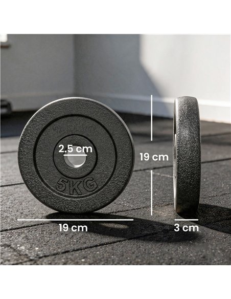 SPORTNOW Weight Plates Set, 1"/2.5cm Weight Disc Pair, 4 x 5kg Metal Dumbbell/Barbell Plates for Home Gym - pic 212985 | FastDaddyshop