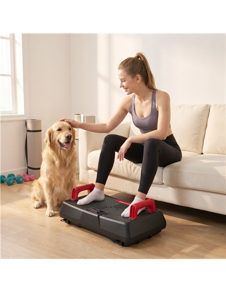 SPORTNOW Vibration Plate Exercise Machine with 99 Speed Levels, 3 Programs, Quiet Vibrating Plate with Resistance Bands - pic 213261 | FastDaddyshop