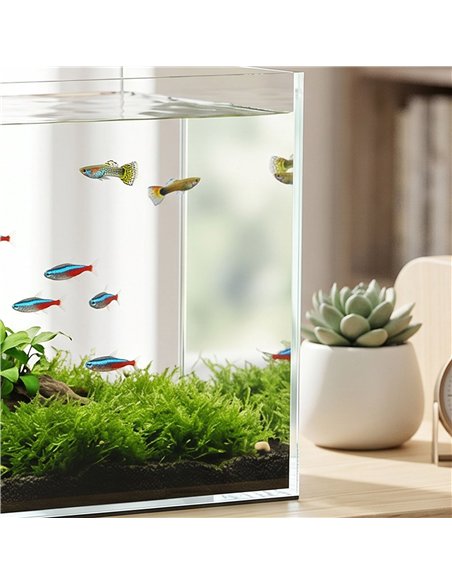 PawHut Fish Tank Bare Glass for DIY Glass Aquarium with Protective Base Mat 51L Transparent for Fish Shrimps - pic 213891 | FastDaddyshop