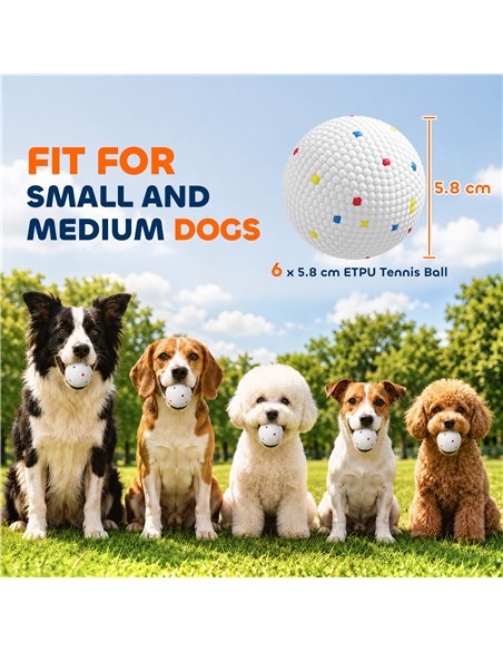 PawHut 6 Pack Dog Balls Toys Fits Aggressive Chewers, Indestructible Teething and Water ETPU Balls for Throw and Fetch - pic 213957 | FastDaddyshop