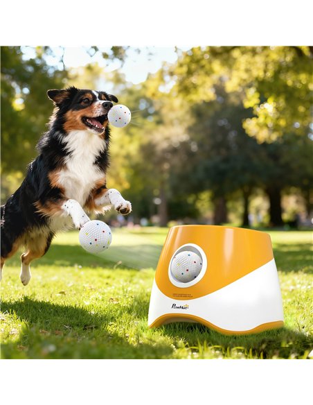 PawHut 6 Pack Dog Balls Toys Fits Aggressive Chewers, Indestructible Teething and Water ETPU Balls for Throw and Fetch - pic 213962 | FastDaddyshop