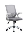 Vinsetto Mesh Office Chair with Lumbar Back Support, Flip-Up Arm, Grey
