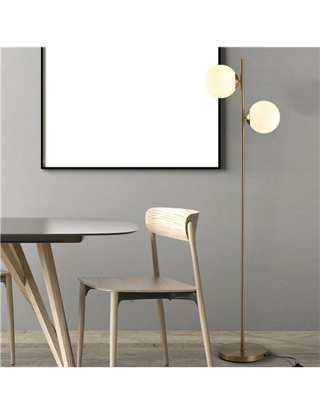 HOMCOM 2 Glass Shade Floor Lamp Metal Pole Cool Modern Decorative w/ Floor Switch Home Office Furnishing Gold - pic 26102 | FastDaddyshop