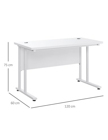 HOMCOM Home Office Computer Desk,  Writing Table, 120x60x75cm with 2 Cable Management Holes, C-Shaped Metal Legs, White