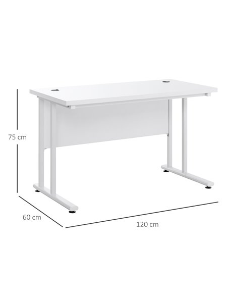 HOMCOM Home Office Computer Desk,  Writing Table, 120x60x75cm with 2 Cable Management Holes, C-Shaped Metal Legs, White - pic 27224 | FastDaddyshop