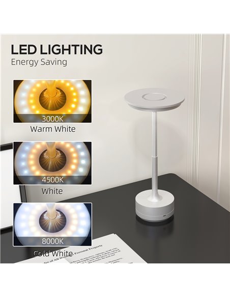 HOMCOM Cordless LED Table Lamp with 4000mAh Battery, Silver B31-454V00SR - pic 28351 | FastDaddyshop