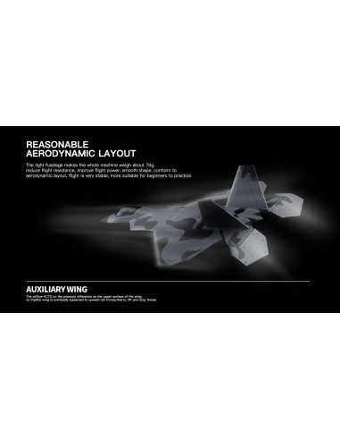 WL Toys F-22 Raptor 3Ch Electric Radio Controlled Jet Plane 2.4GHz with 3D/6G Optional Autopilot - photo18