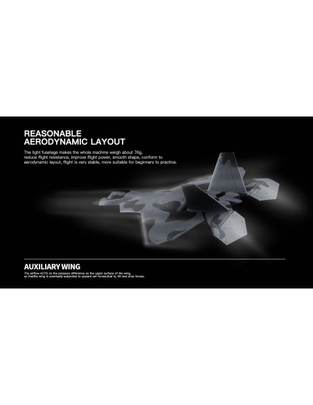 WL Toys F-22 Raptor 3Ch Electric Radio Controlled Jet Plane 2.4GHz with 3D/6G Optional Autopilot - photo18 - pic 2891 | FastDaddyshop