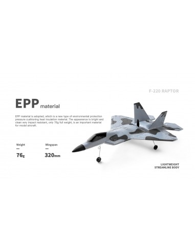 WL Toys F-22 Raptor 3Ch Electric Radio Controlled Jet Plane 2.4GHz with 3D/6G Optional Autopilot - photo22