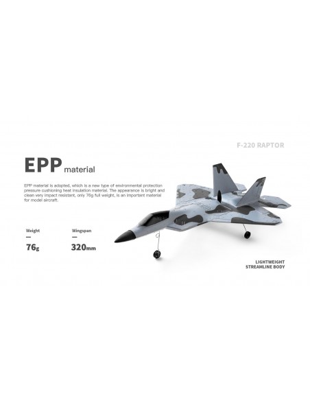 WL Toys F-22 Raptor 3Ch Electric Radio Controlled Jet Plane 2.4GHz with 3D/6G Optional Autopilot - photo22 - pic 2895 | FastDaddyshop