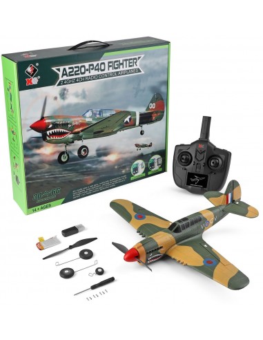 WL Toys P40 Warbird 4Ch Electric Radio Controlled Plane 2.4GHz with 3D/6G Optional Autopilot - photo02